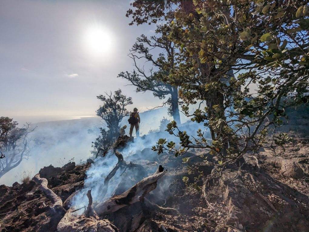 A firefighter holds a radio in smoky wildfire conditons