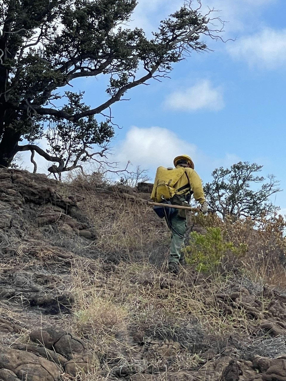 NPS firefigter leaving burn area A firefighter in protective gear on a rocky hillside with charred vegetation