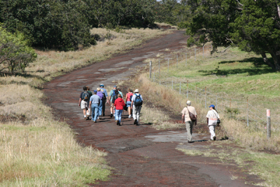 HAVO_Kahuku_1_reduced