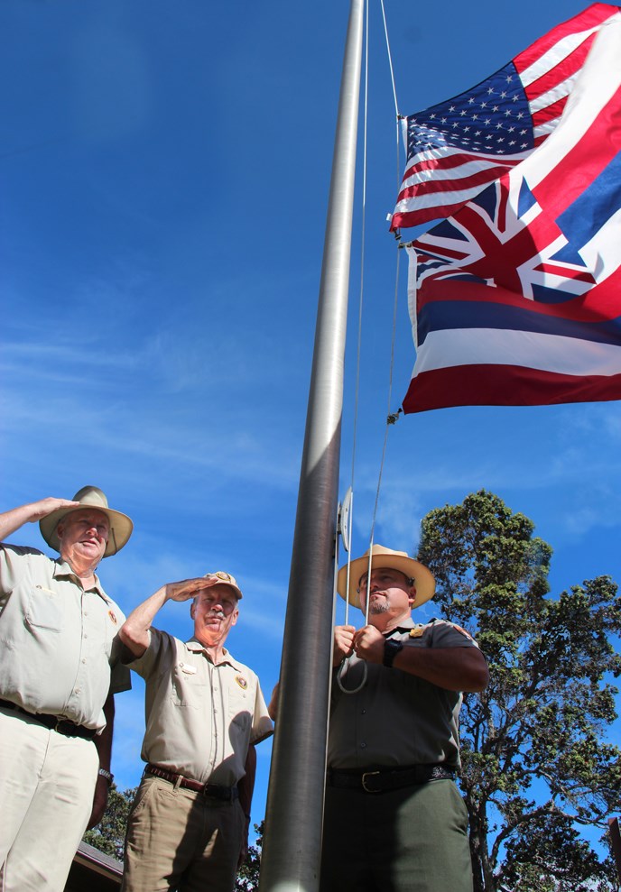 Veterans Salute