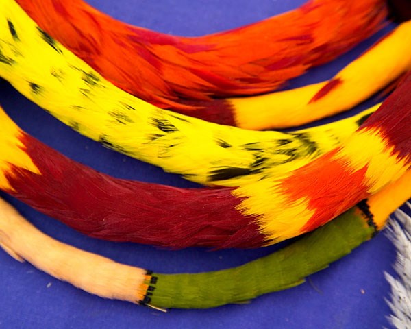 The brilliant colors of a lei haku hulu