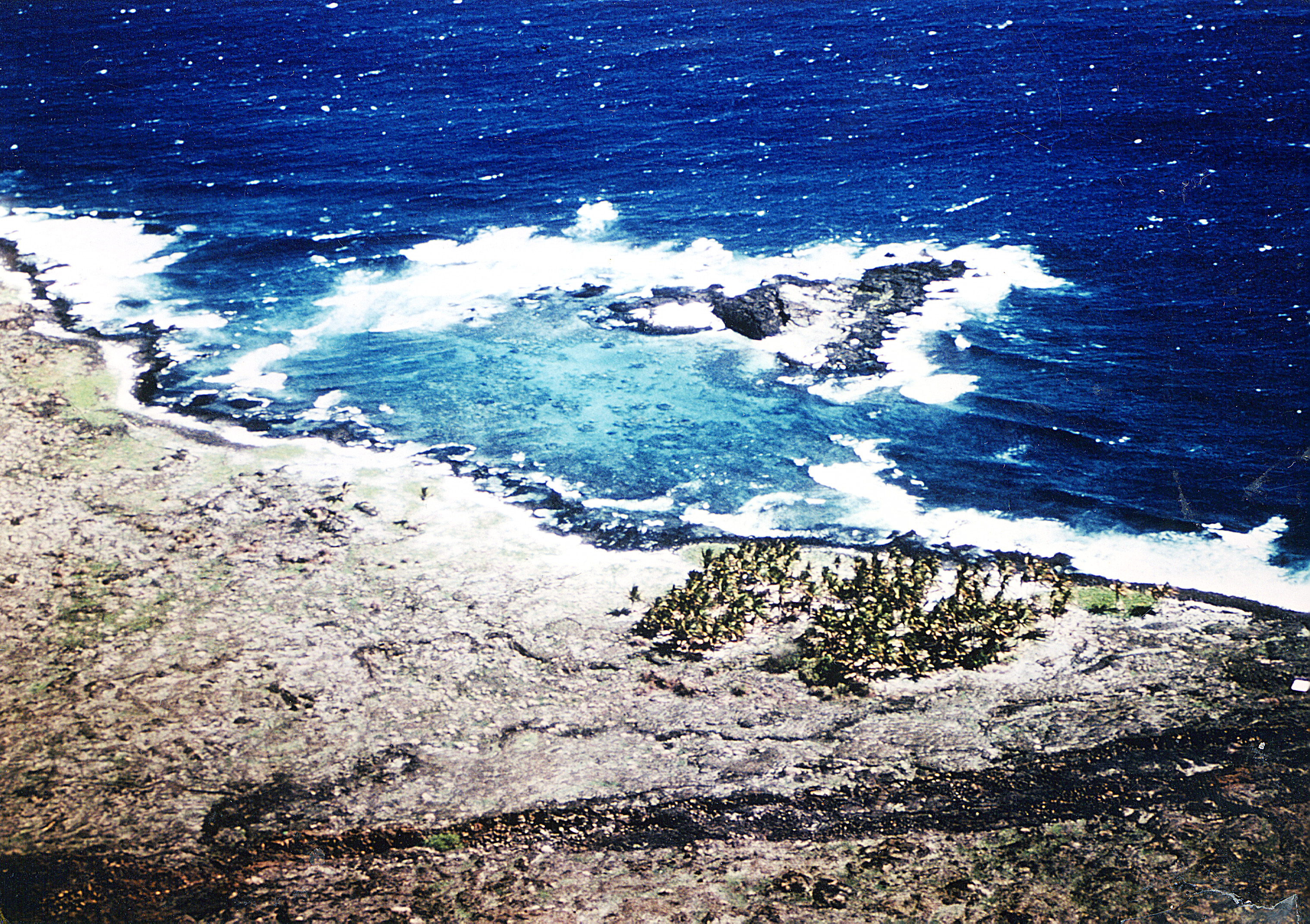 A remote uninhabited coastline with a grove of palm trees and white sand beach framed by rough windy blue ocean