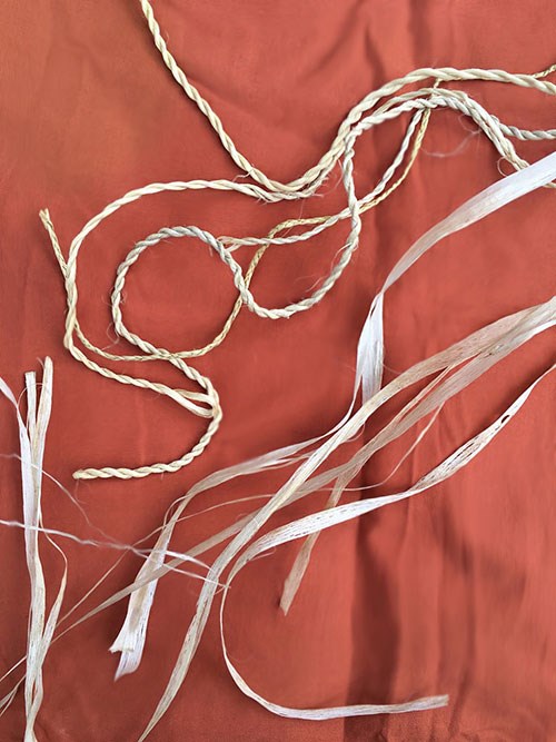 Hau (Hibiscus tiliaceau) material is used to create traditional Hawaiian rope products