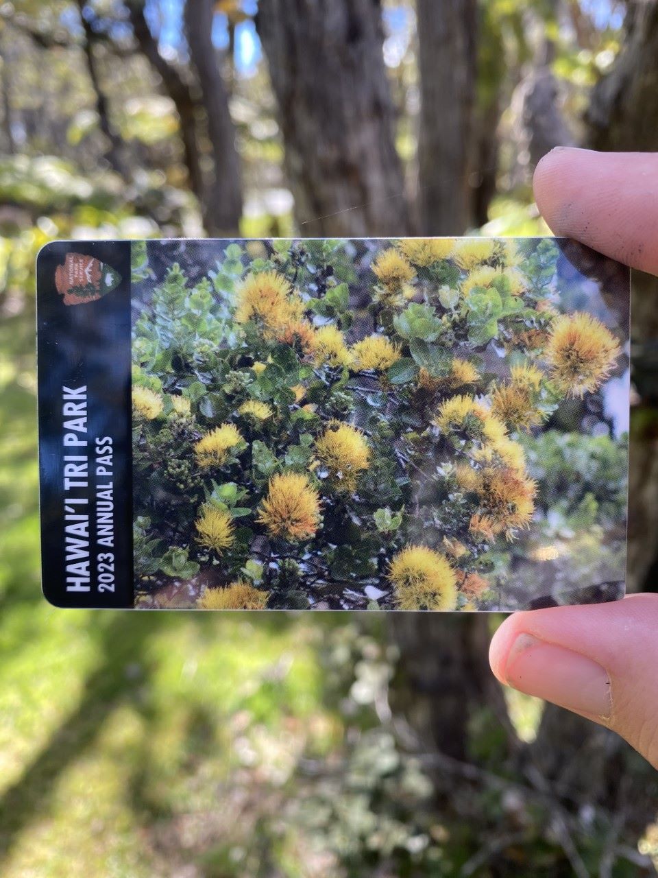A new Tri-Park pass is available for 2023. hand holding wallet sized plastic pass