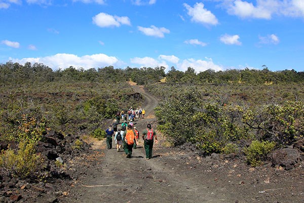 Hiking on the Palm trail in Kahuku