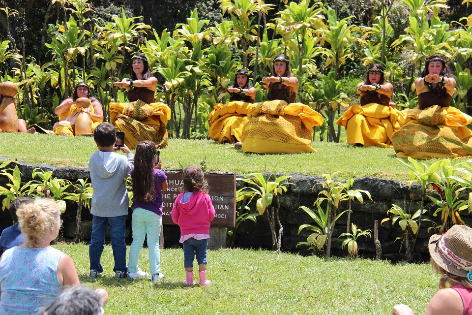 Hula is performed at the 2013 Cultural Festival