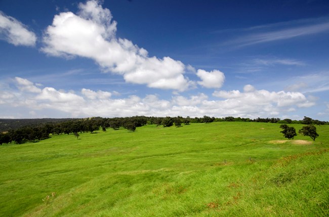 Palm Trail Vista