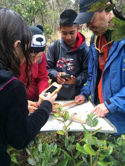 Keiki (children) examine insects at Hawaii Volcanoes National Park