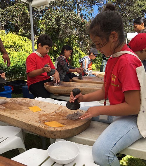 Keiki learn to ku‘i kalo