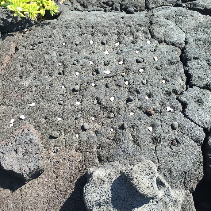 Ancient kōnane board made of lava rock