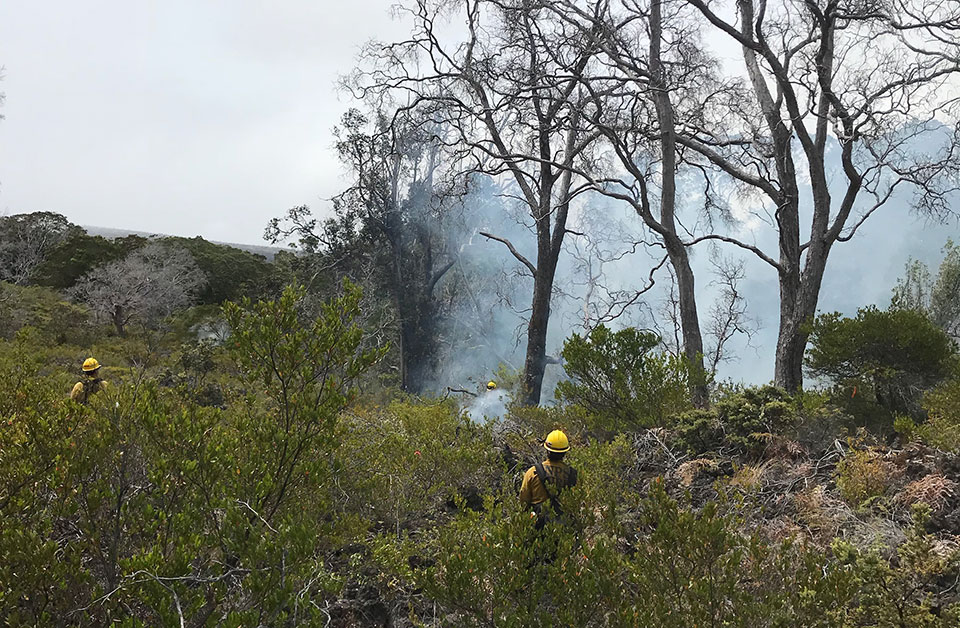 NPS fire crew on the ground fighting fire NPS fire crew on the ground fighting fire