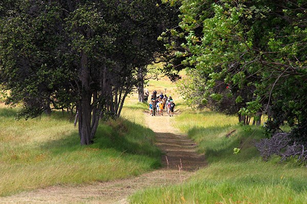 People and Land of Kahuku Hike