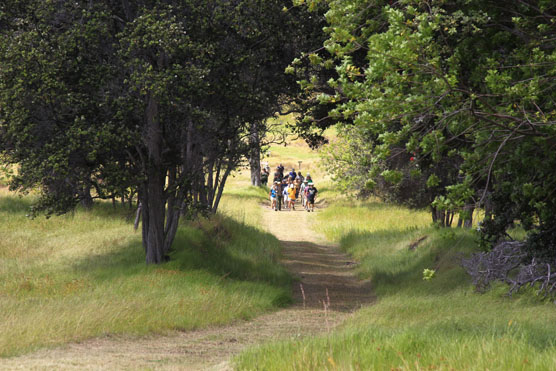 People and Land of Kahuku