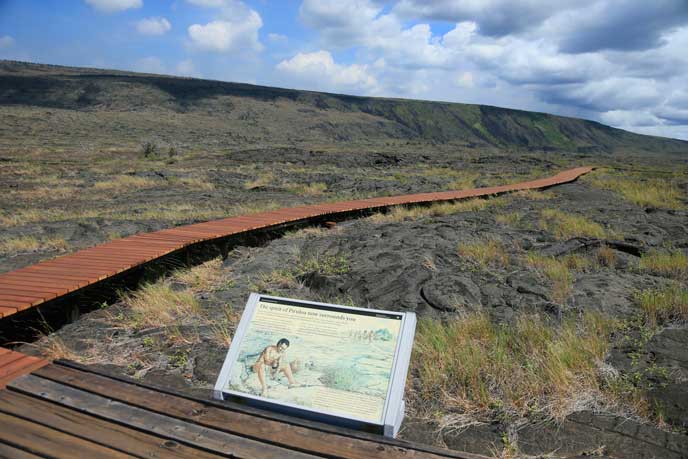 Pu‘u Loa Boardwalk Replacement