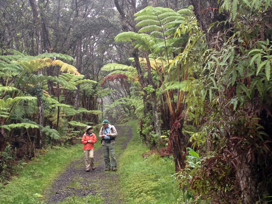 Hiking near Thurston Lava Tube (Nāhuku)