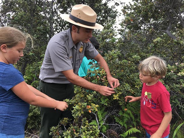 Ranger Noah Gomes explains the important of ‘ōhi‘a lehua in native forests