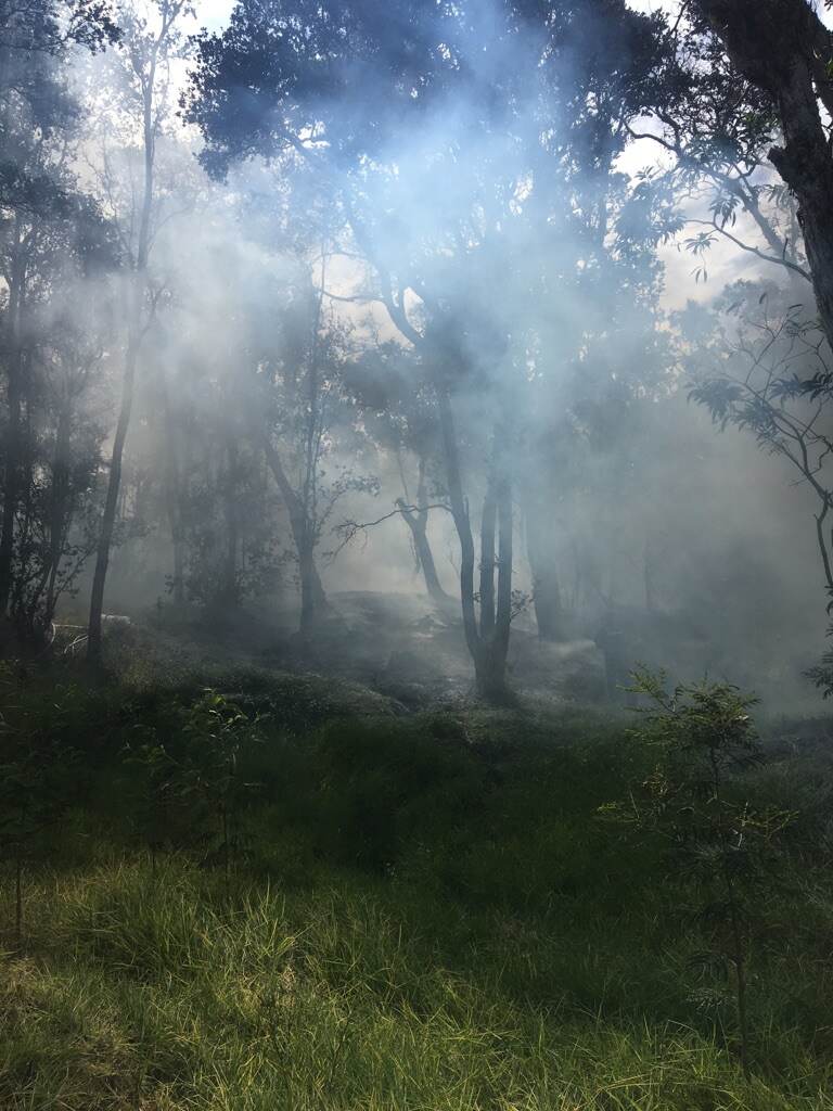 Smoke from fire in forest Smoke wafts through forest