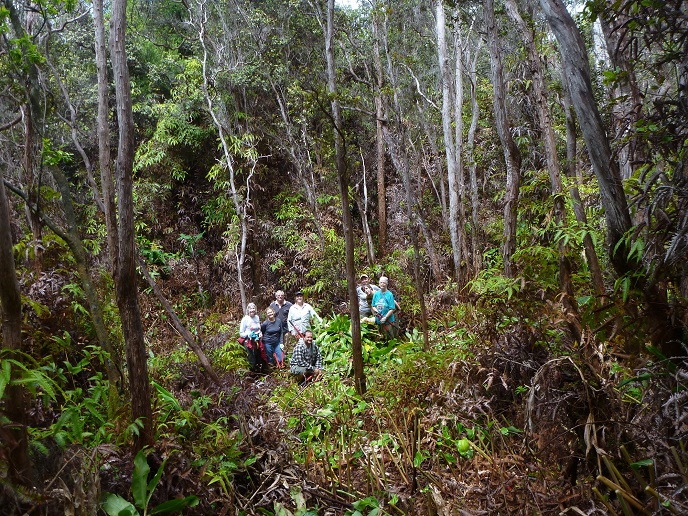 Stewards of the Hawaiian rainforest