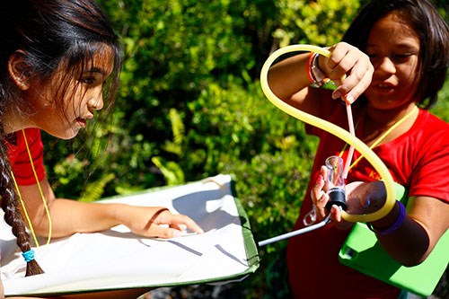 The next generation discover insects near Mauna Ulu