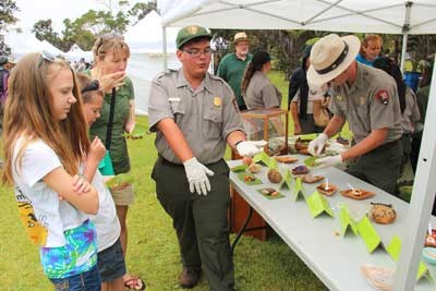 Tasting Hawaiian Foods
