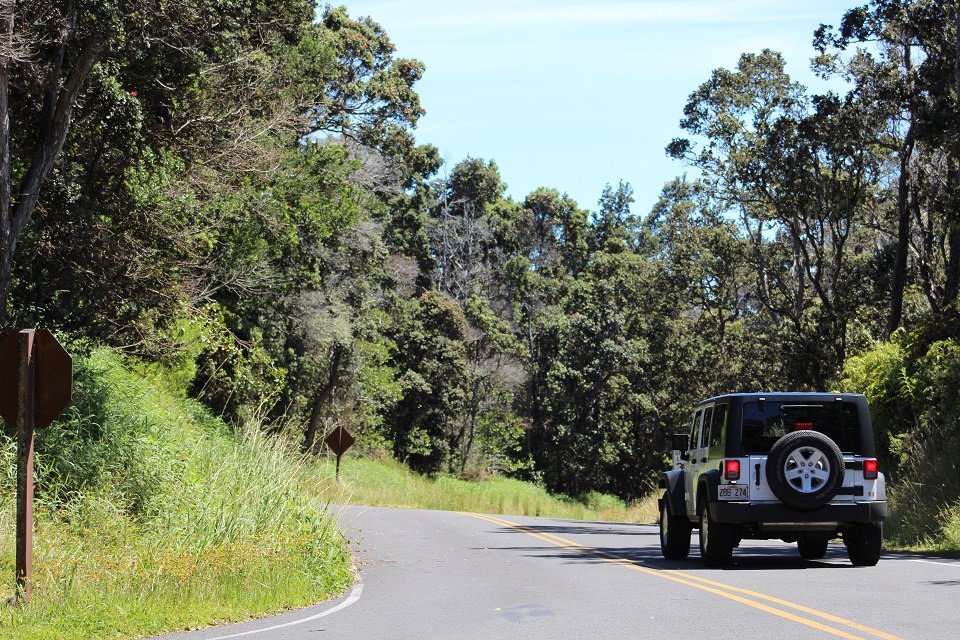 Visitors on Chain of Craters Road