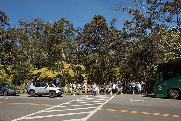 Visitors mingle at the entry to Thurston Lava Tube