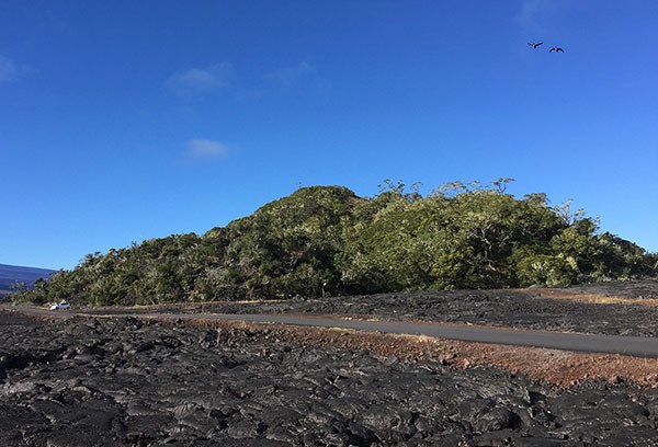 Volcanic Geology Along Saddle Road