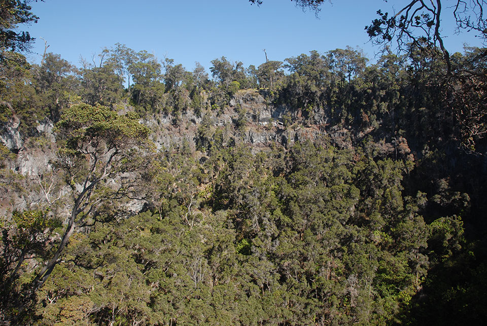 Forested Pit Crater Forested Pit Crater