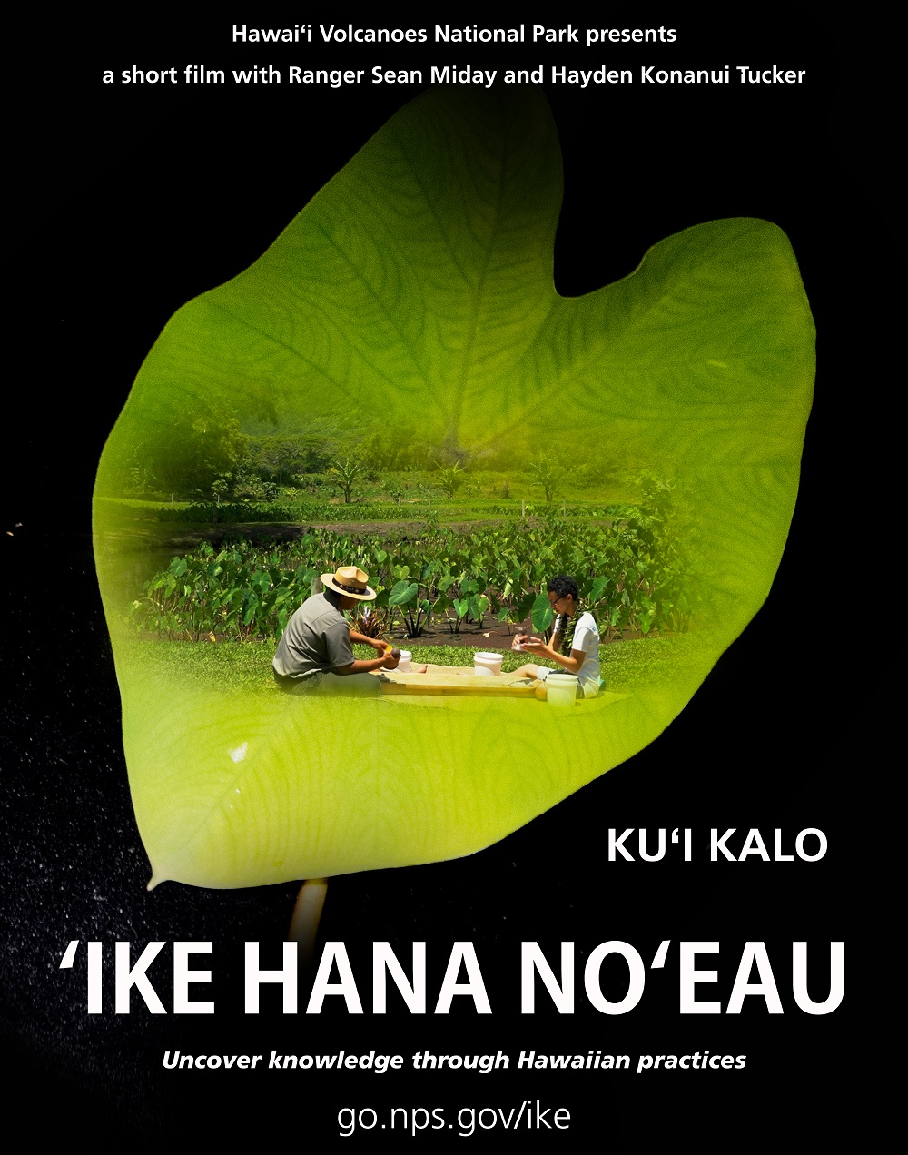Movie poster with black background and a large green leaf  with text. In the green leaf are two people sitting down