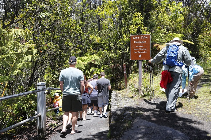 Rainforst entrance trail to Thurston Lava Tube