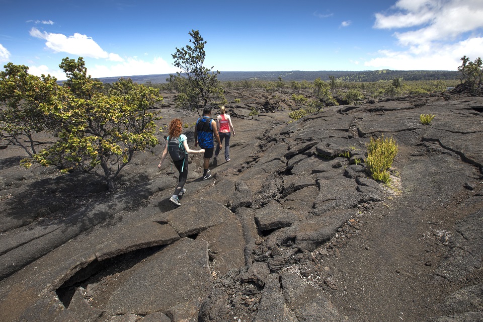 Hiking the 1868 Mauna Loa flow in Kahuku Three hikers on an old lava flow with short vegetation nearby