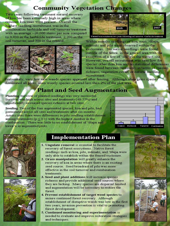 Experimental Forest Restoration