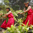 Hālau Hula Kalehuaki'eki'eika'iu at Kīlauea