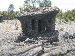 Cluster of Lava Trees