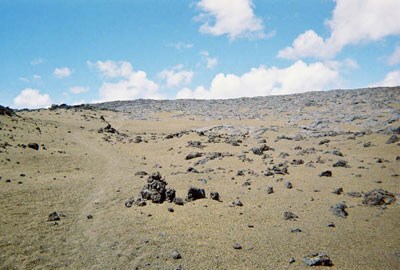 Mauna Loa Trail