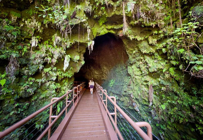 Two visitors enter a lava tube through verdant vegetation