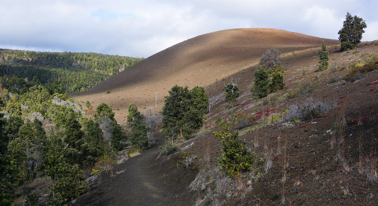 Path next to a volcanic cinder cone