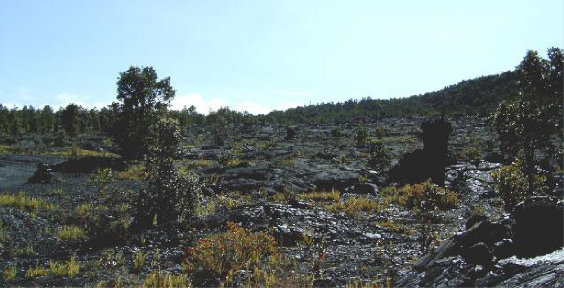 Lava fields from the 1970's