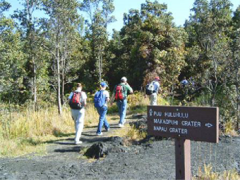 The trail to the overlook breaks off to the north