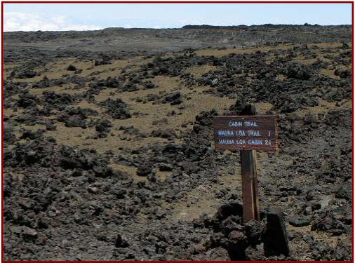 Junction between Observatory and Cabin Trails at 13,000 Feet