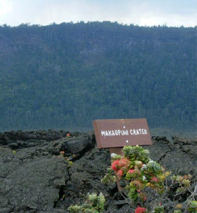 Makaopuhi Crater sign