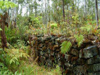 Old Pulu Factory ruins