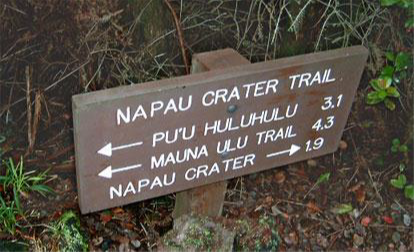 Only two more miles to Napau Crater