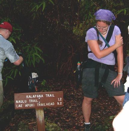 Naulu Trail junction