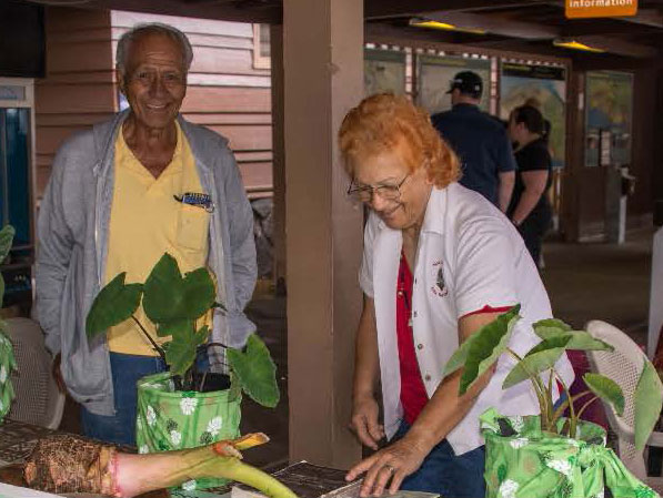 Hawaiian herbal medicine Hawaiian herbal medicine