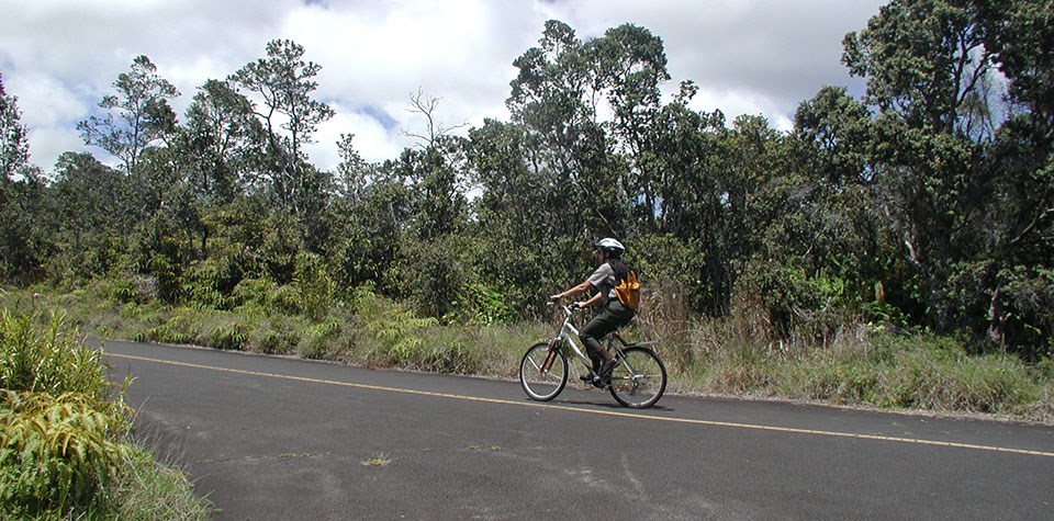 Biking in the Park Biking in the Park