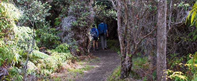 ‘Iliahi Trail hikers ‘Iliahi Trail hikers