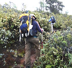 Heading out on the trail........