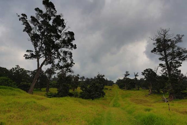 a scenic trail in kahuku