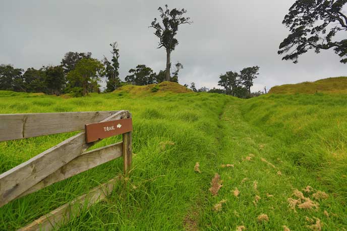 Lower Glover Trail in Kahuku